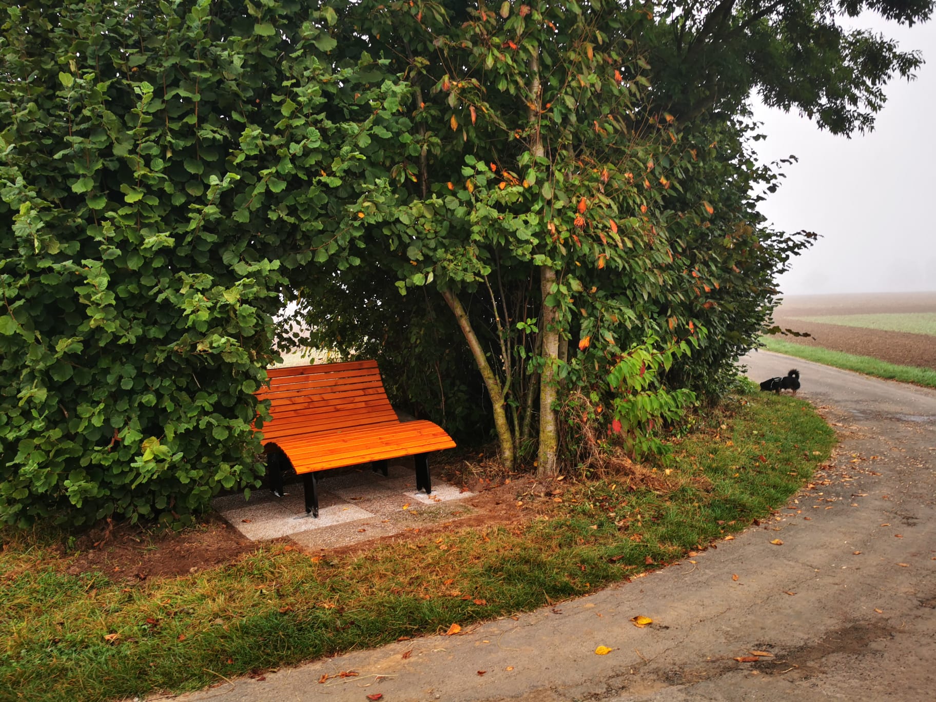 Landschaftsliege im Stubbig